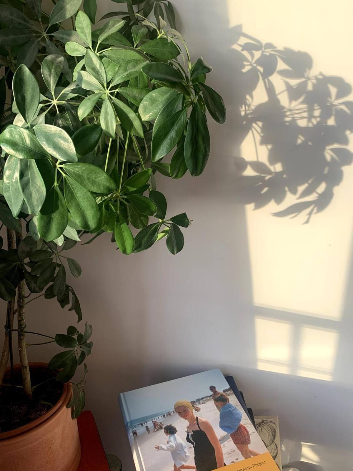 Apartment Avec Vue